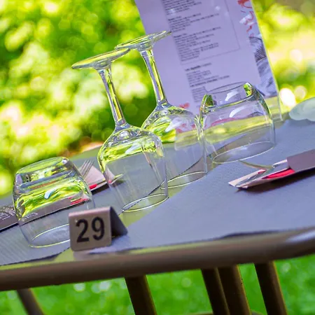 Ibis Nancy-brabois فندق