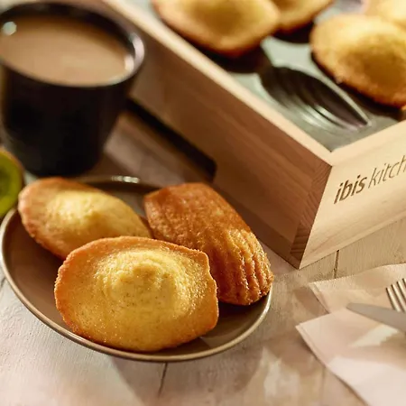 Ibis Nancy-brabois Hotel 3*