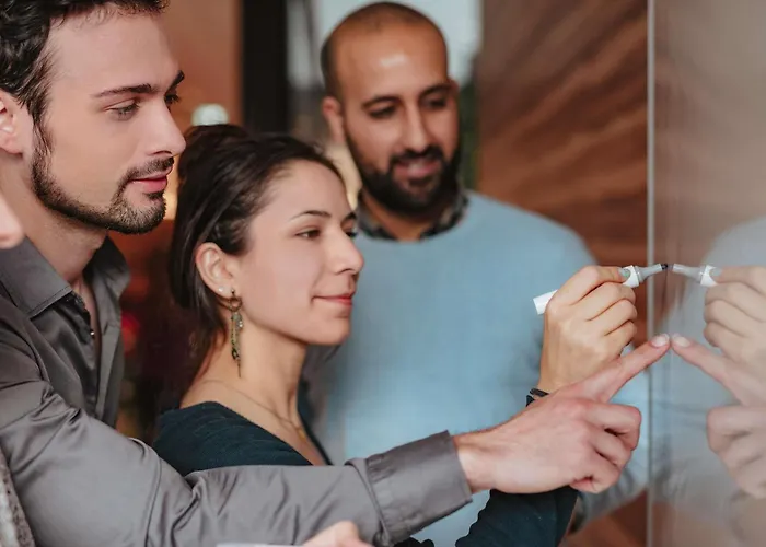 Ibis Nancy-brabois Hotel