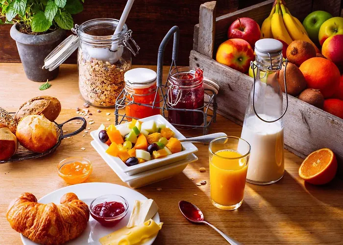 Отель Ibis Nancy-brabois 3*