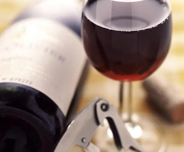 מלון Ibis Nancy-brabois